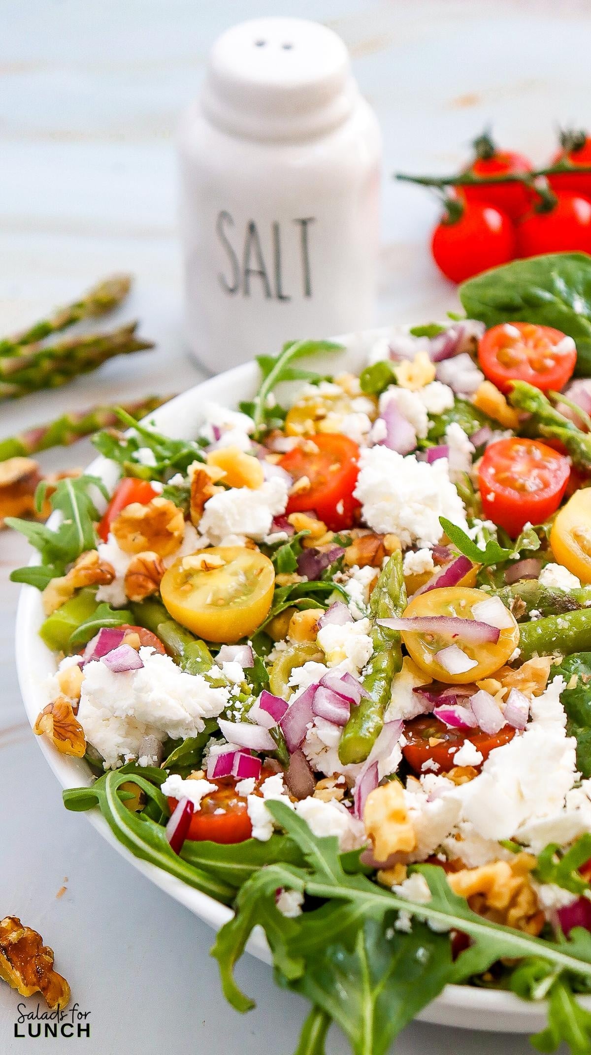 Spring Asparagus and Goat Cheese Salad Recipe 14 - Spring is here and the table is calling for a dish that brings a burst of color and taste to every gathering. This Spring Asparagus and Goat Cheese Salad is a bright and cheerful mix of tender, crisp asparagus, creamy goat cheese, and fresh salad greens paired with a tangy vinaigrette. It’s a dish that makes any meal feel extra special, whether you’re hosting an Easter dinner or a sunny lunch with friends.