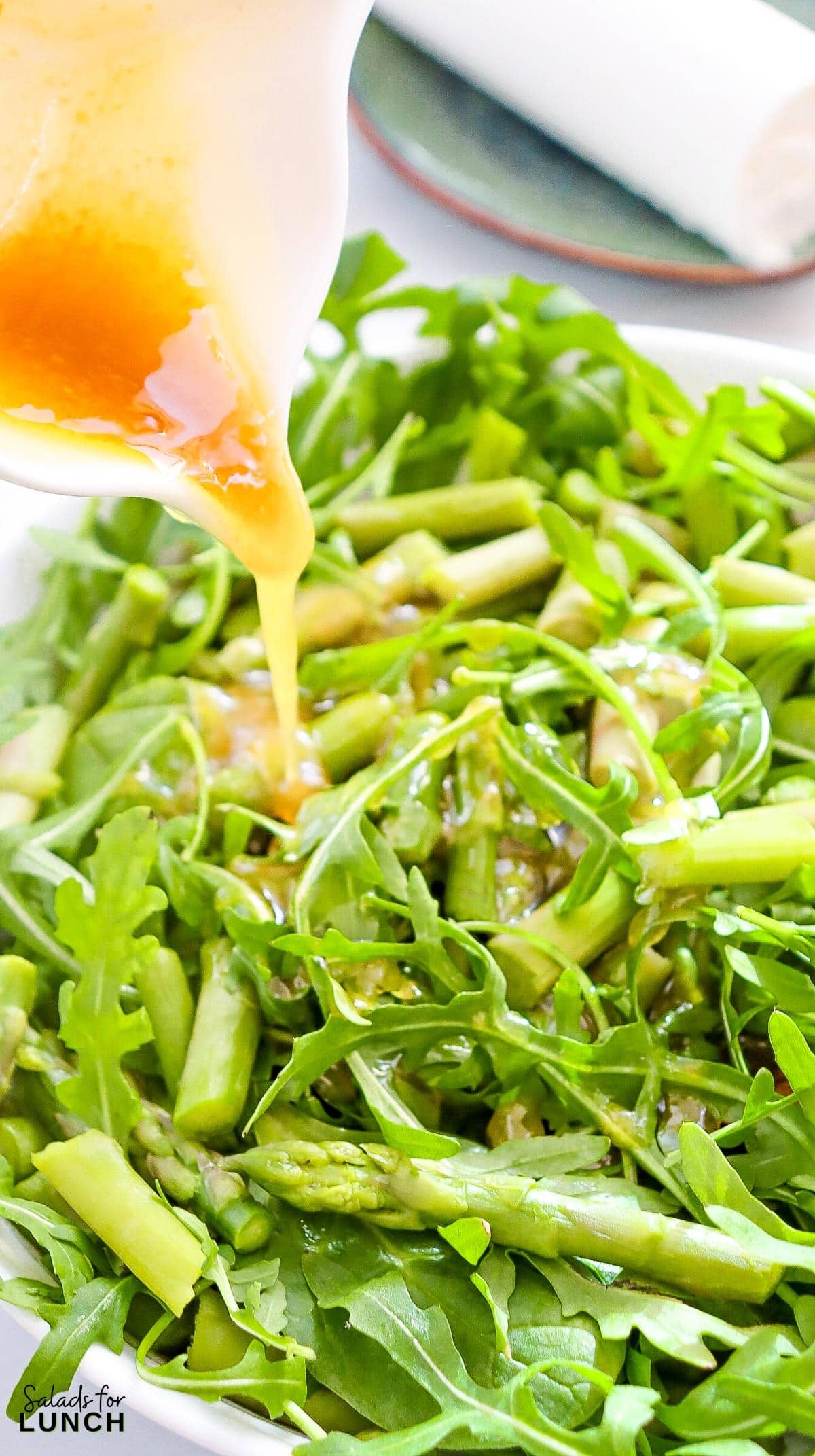 Spring Asparagus and Goat Cheese Salad Recipe 7 - Spring is here and the table is calling for a dish that brings a burst of color and taste to every gathering. This Spring Asparagus and Goat Cheese Salad is a bright and cheerful mix of tender, crisp asparagus, creamy goat cheese, and fresh salad greens paired with a tangy vinaigrette. It’s a dish that makes any meal feel extra special, whether you’re hosting an Easter dinner or a sunny lunch with friends.