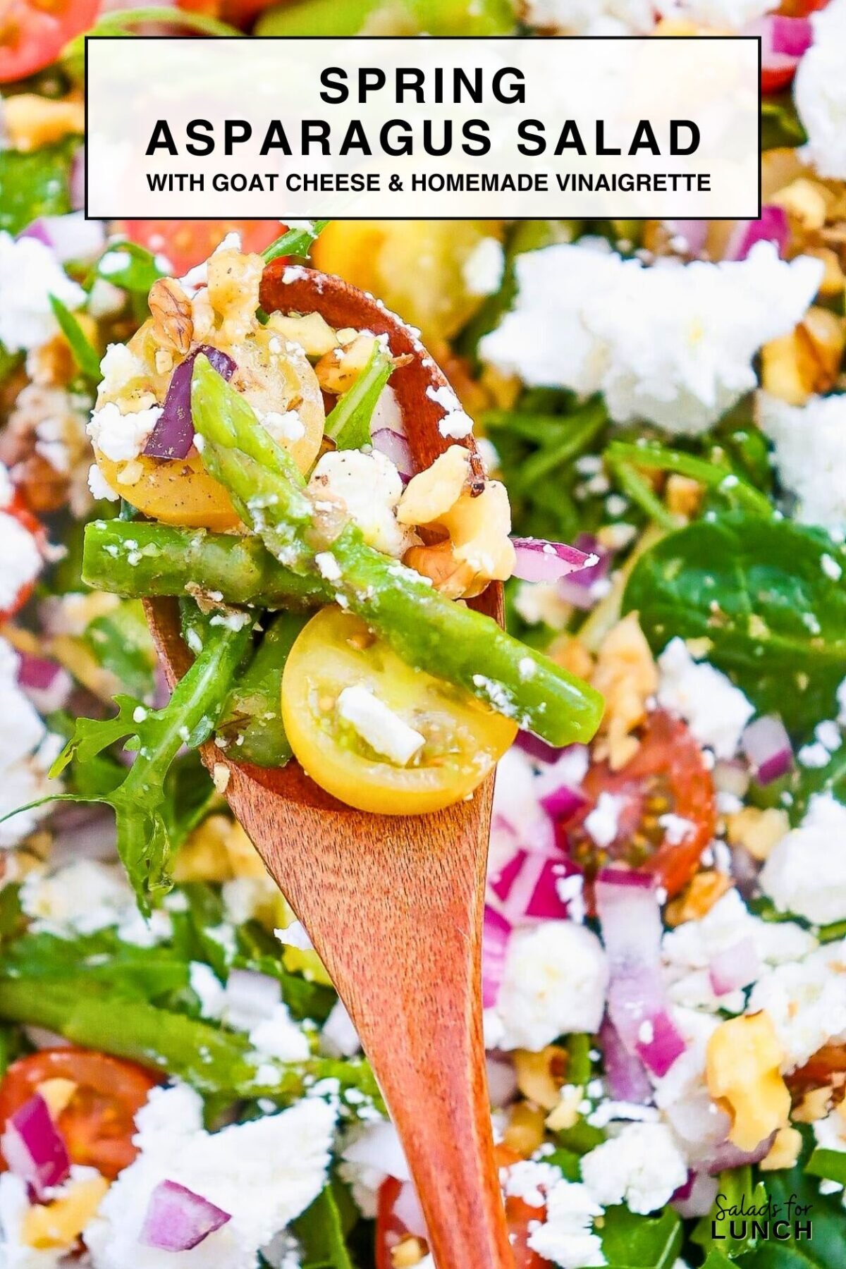 Spring Asparagus Salad with Goat Cheese Recipe - Spring is here and the table is calling for a dish that brings a burst of color and taste to every gathering. This Spring Asparagus and Goat Cheese Salad is a bright and cheerful mix of tender, crisp asparagus, creamy goat cheese, and fresh salad greens paired with a tangy vinaigrette. It’s a dish that makes any meal feel extra special, whether you’re hosting an Easter dinner or a sunny lunch with friends.