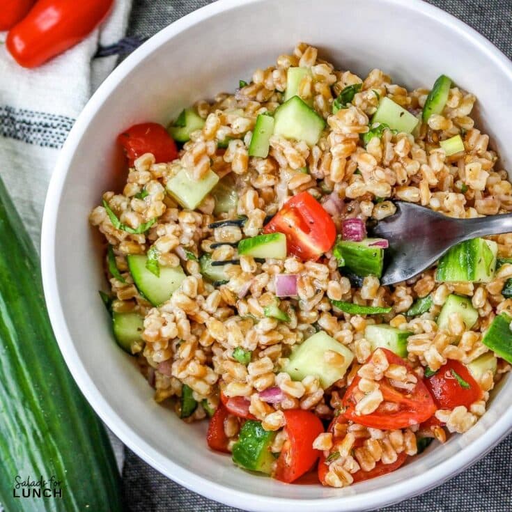 Summer Farro Salad Square Featured Photo - Shake up your weekday lunch with these tasty, healthy salads for lunch recipes that are great on the go. Make a filling and healthy salad that will power you through any work day. Full of protein and fiber these quick salads are an easy way to spruce up your lunch.