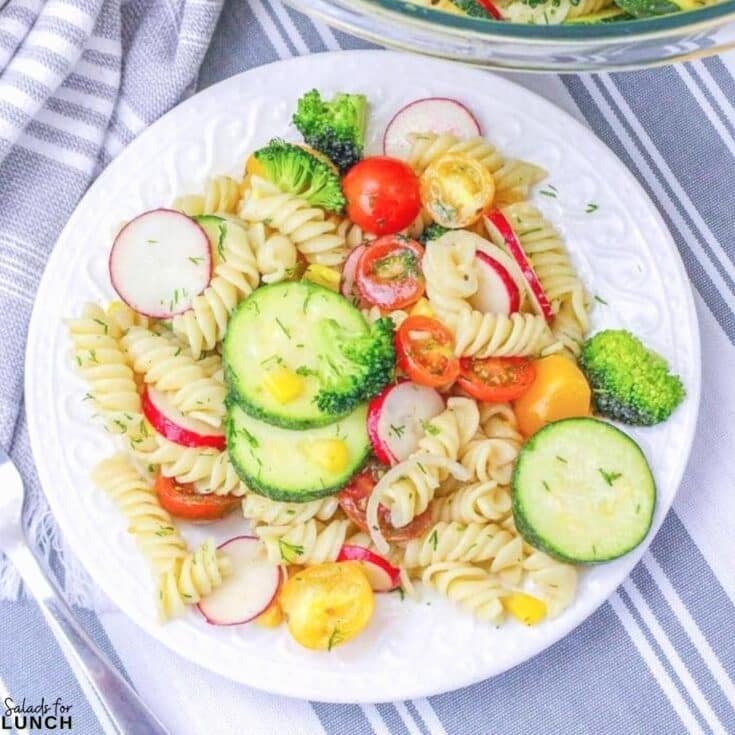Summer Pasta Salad Square Featured Photo - As the height of summer unfolds, August brings an abundance of fresh, flavorful fruits and vegetables. This month is a perfect time to make summer salads to enjoy the delicious seasonal produce that August has to offer at their peak, and while they're packed with nutrients and bursting with flavor.