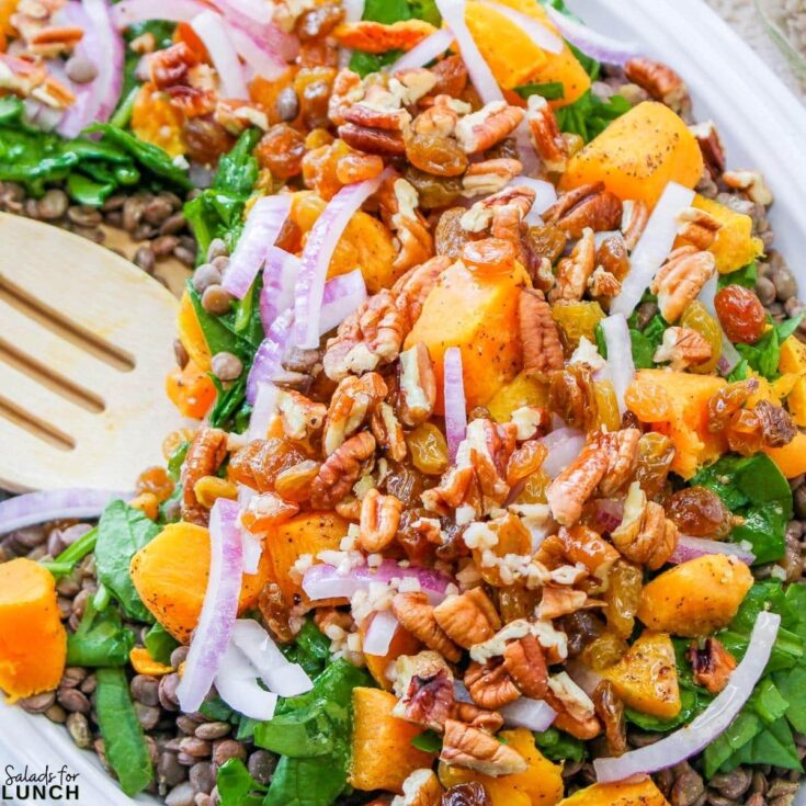 Thanksgiving Lentil Salad Square Featured Photo - These fall salads will help you make the most of October’s fresh, seasonal produce while adding flavor, nutrition, and variety to your meals. Enjoy the richness of fall in every bite!