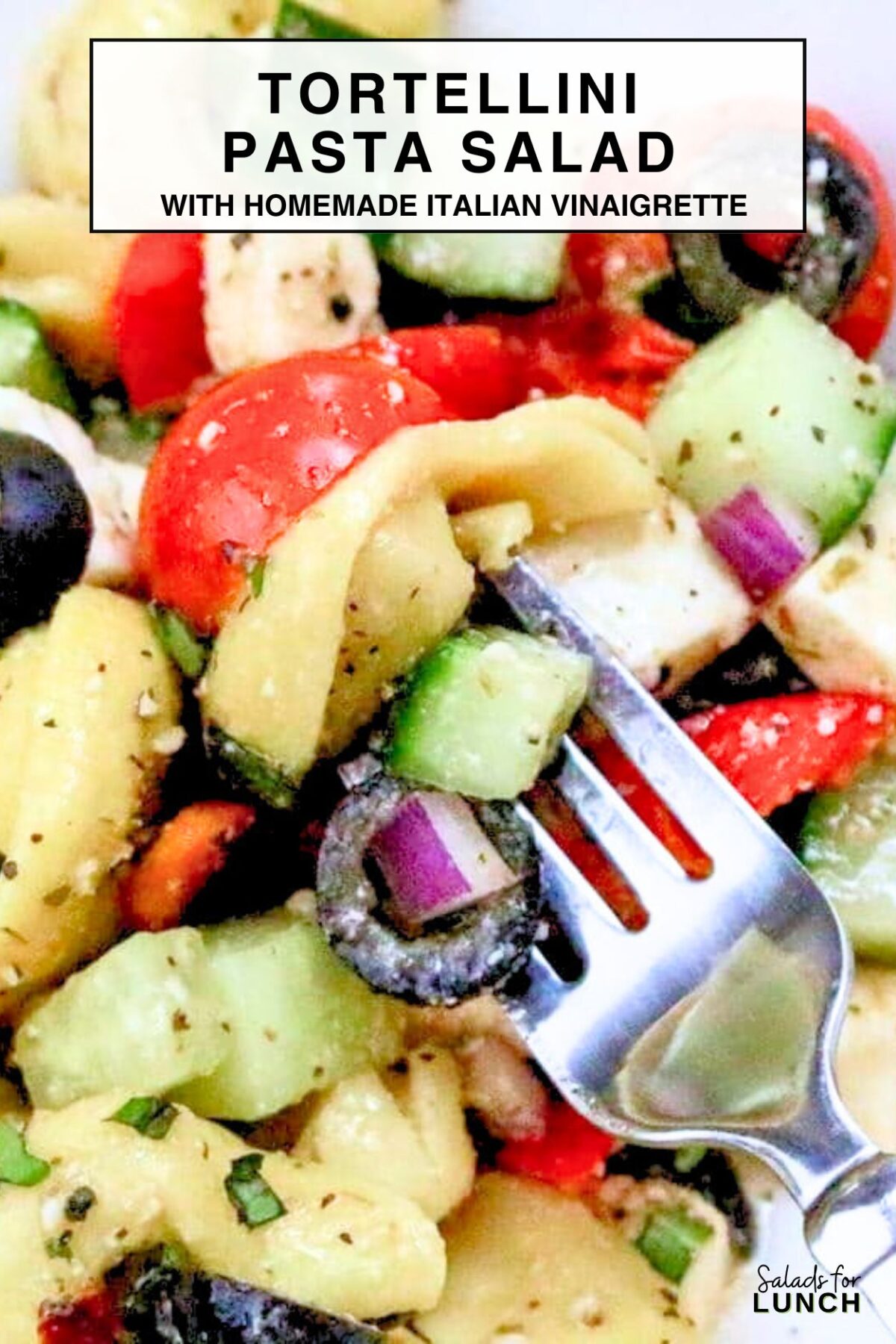 Tortellini Pasta Salad - This Tortellini Pasta Salad with Italian Salad Dressing is a fantastic mix of tender cheese tortellini, crisp vegetables, and a zesty dressing that makes every bite a treat. Perfect for potlucks or a quick meal, this salad brings a cheerful vibe to any gathering without taking hours to prepare.