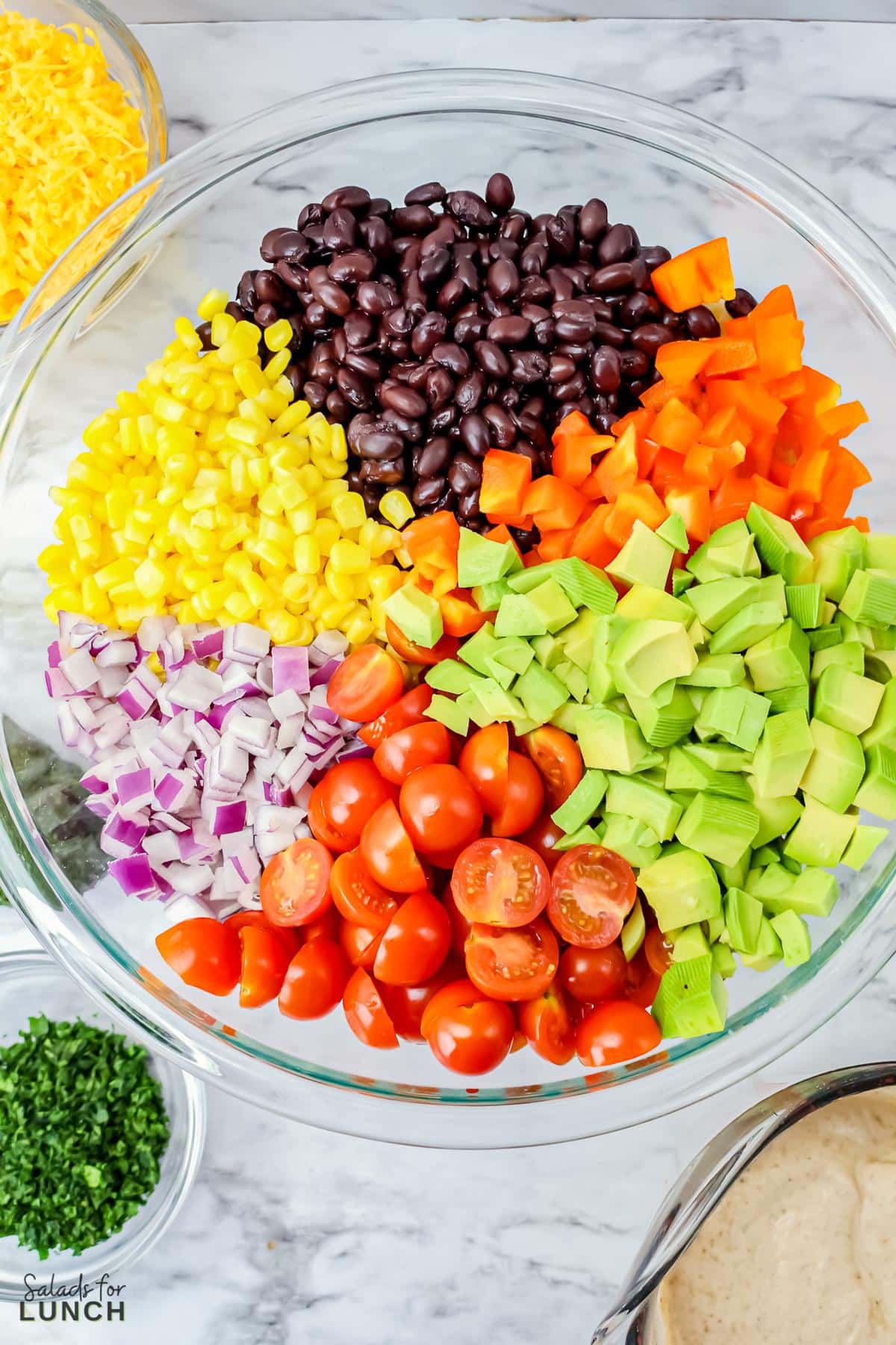 Vegetarian Mexican Pasta Salad 8 - You're going to love this Vegetarian Mexican Pasta Salad! Tender pasta is combined with Mexican-inspired flavors that's loaded with corn, black beans, tomatoes, jalapeño, cilantro, and a creamy lime dressing for a perfect summer time salad, great for barbecues, picnics, grilled meats or fish and more!