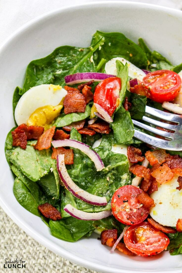 Warm Bacon Salad Dressing Recipe 25 - March brings a lively mix of fresh fruits and vegetables that light up your plate with bold flavors and crisp textures. Celebrate March with these 17 early spring salads that prove healthy eating can be fun, flavorful, and budget-friendly.