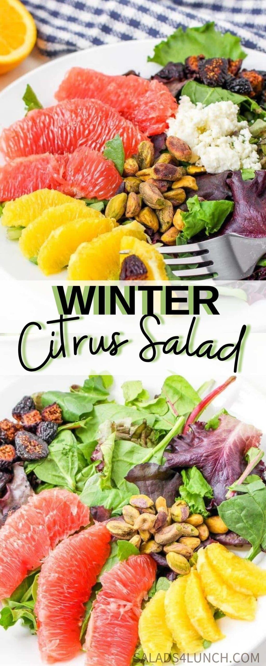 This Winter Citrus Salad is the perfect winter salad to go with almost any meal. The tangy citrus vinaigrette, paired with salty feta, sweet figs, roasted pistachios and fresh greens will instantly make you feel like you have your life together. Want more to love? This recipe is grain and gluten-free, and can be made paleo or vegan.