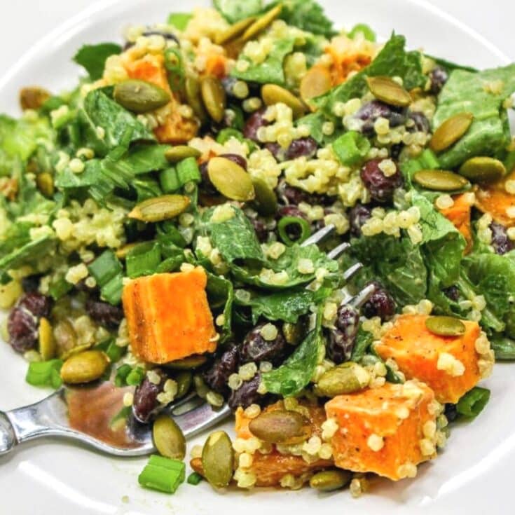 Winter Kale and Quinoa Salad with Avocado Dressing Salad - Shake up your weekday lunch with these tasty, healthy salads for lunch recipes that are great on the go. Make a filling and healthy salad that will power you through any work day. Full of protein and fiber these quick salads are an easy way to spruce up your lunch.