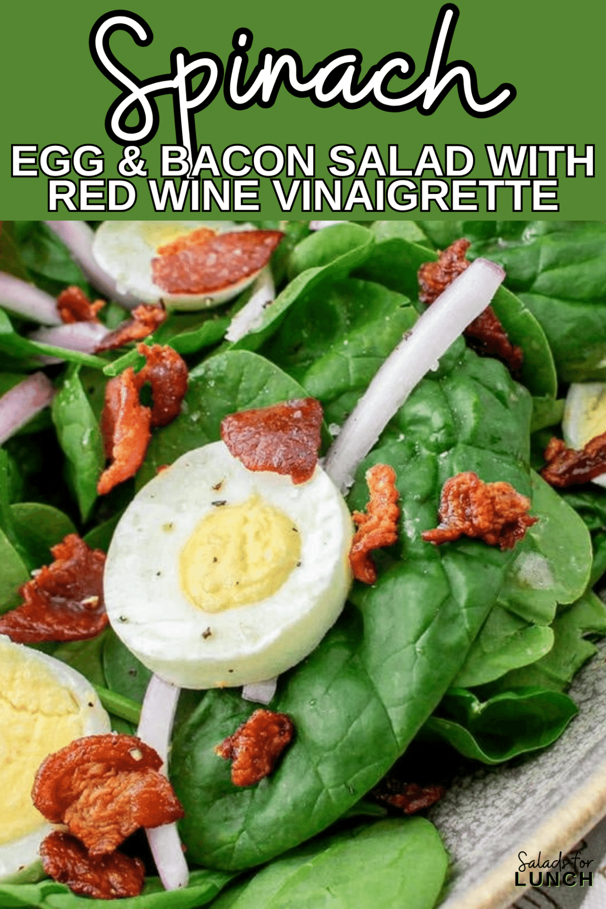 Spinach Egg and Bacon Salad with Red Wine Vinegar Dressing - Crisp baby spinach leaves, creamy hard-boiled eggs, savory bacon crumbles, and tangy red onion come together in perfect harmony, topped with a drizzle of homemade red wine vinegar dressing. It’s a satisfying spinach, egg and bacnon salad that’s as easy to make as it is delicious to eat!