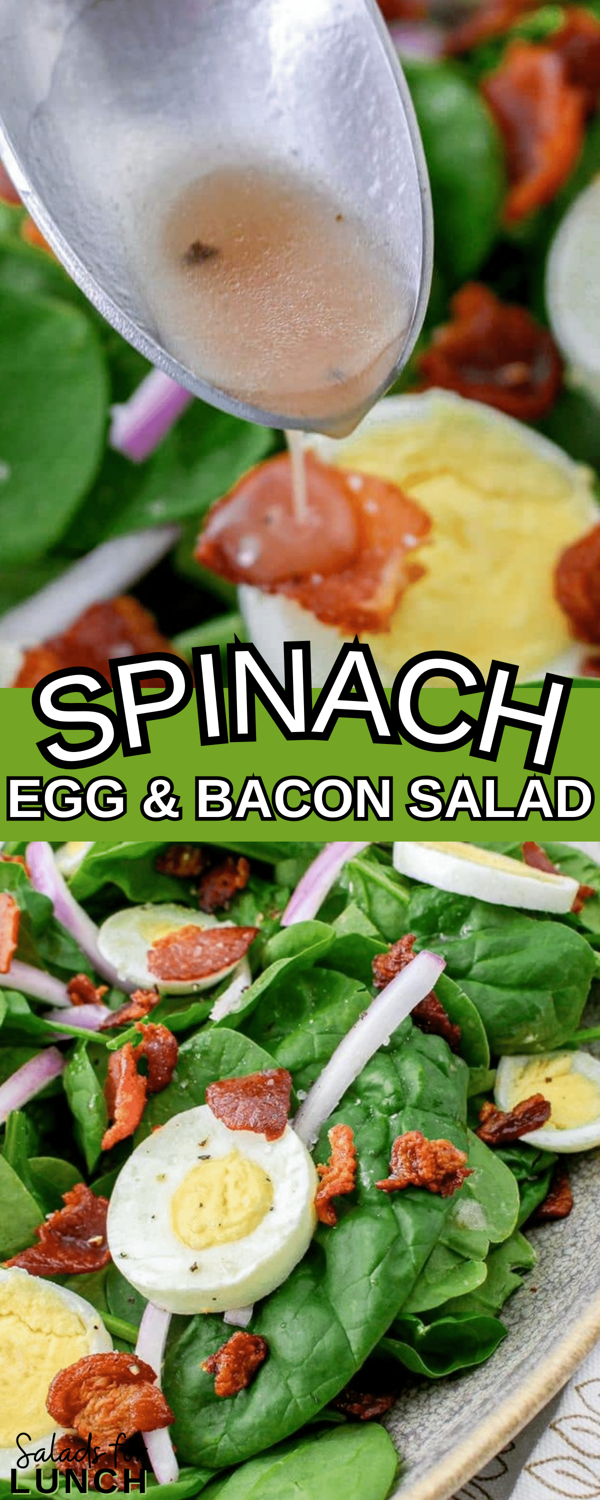 Spinach Egg and Bacon Salad - Crisp baby spinach leaves, creamy hard-boiled eggs, savory bacon crumbles, and tangy red onion come together in perfect harmony, topped with a drizzle of homemade red wine vinegar dressing. It’s a satisfying spinach, egg and bacnon salad that’s as easy to make as it is delicious to eat!