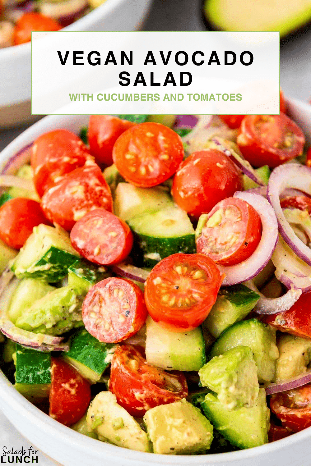 Close up of a vegan salad featuring tomato, avocado, cucumber and red onion.